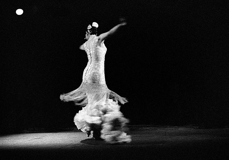 Imagen principal del artículo El jaleo flamenco: fuerza y complicidad en el escenario