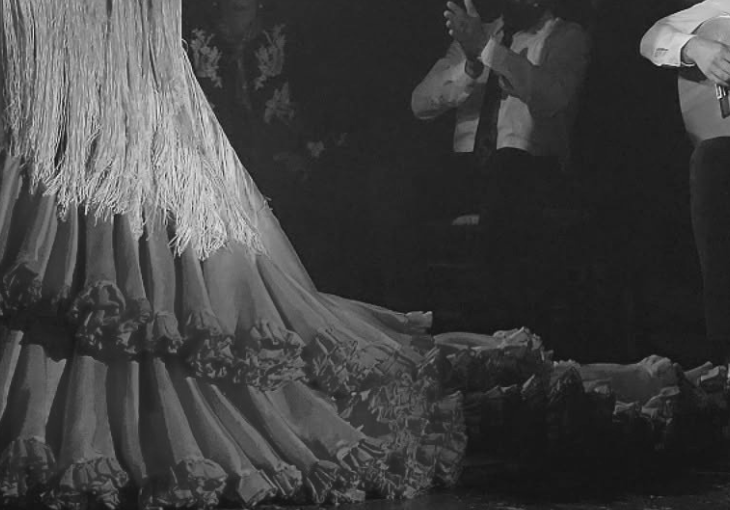 Imagen principal del artículo La caña, un palo flamenco entre la solemnidad y la tradición