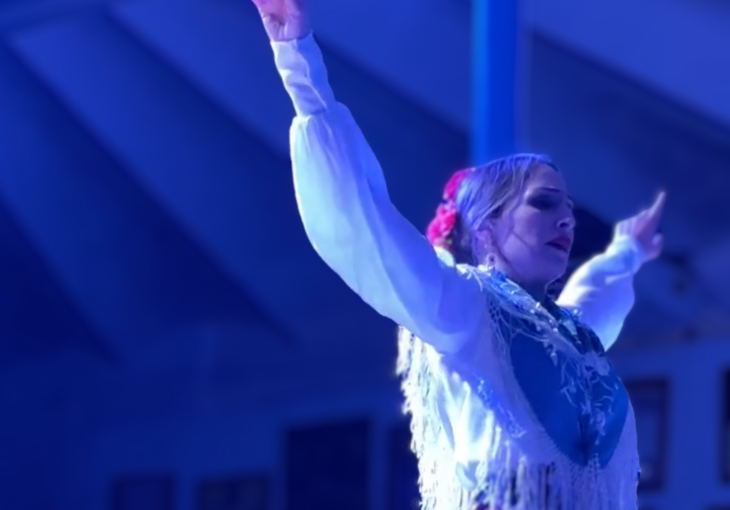Imagen principal del artículo La fuerza y la emoción del flamenco según Lourdes Alcántara