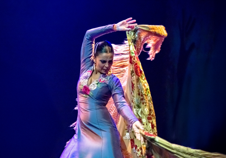 Imagen principal del artículo Los palos del flamenco: cómo diferenciarlos (guía para principiantes)